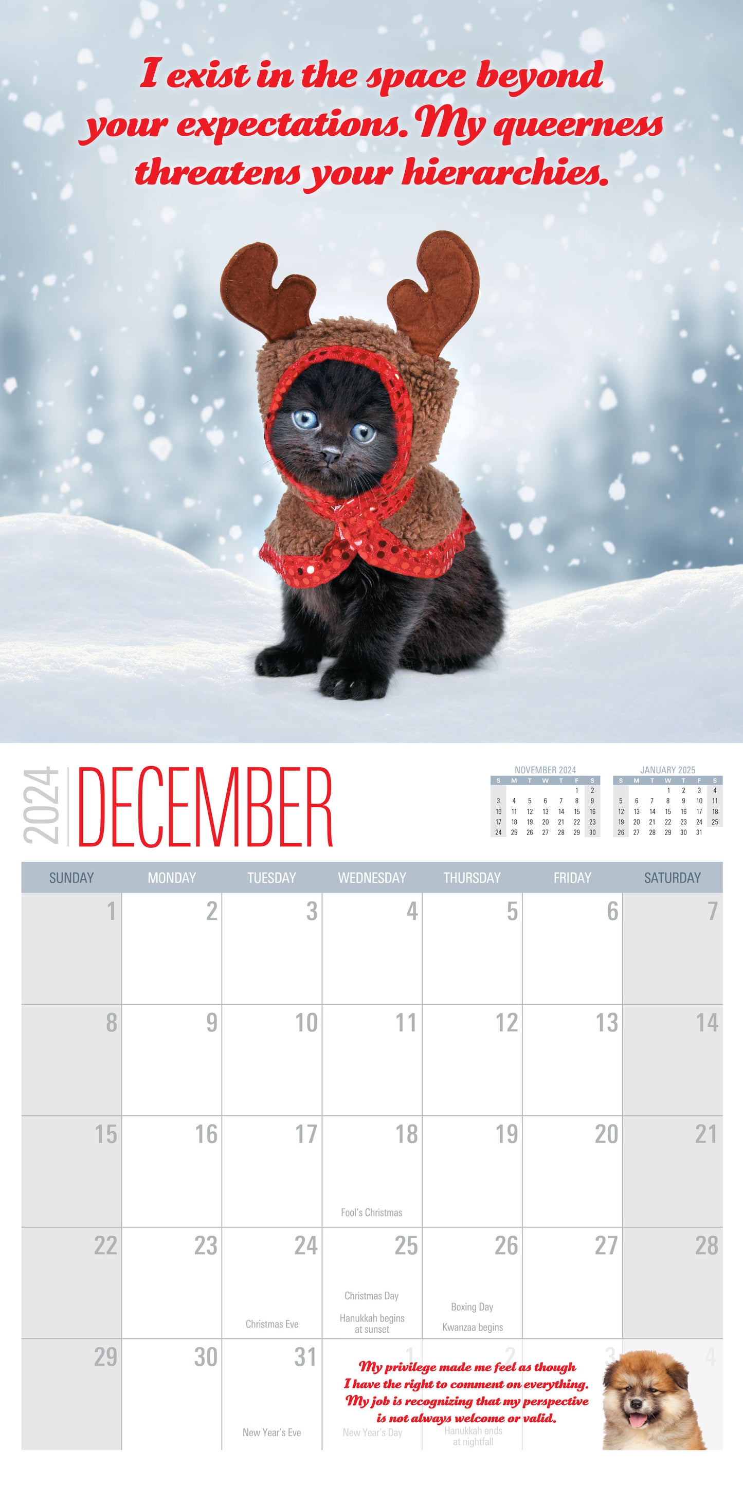 2024 Social Justice Kittens Calendar
