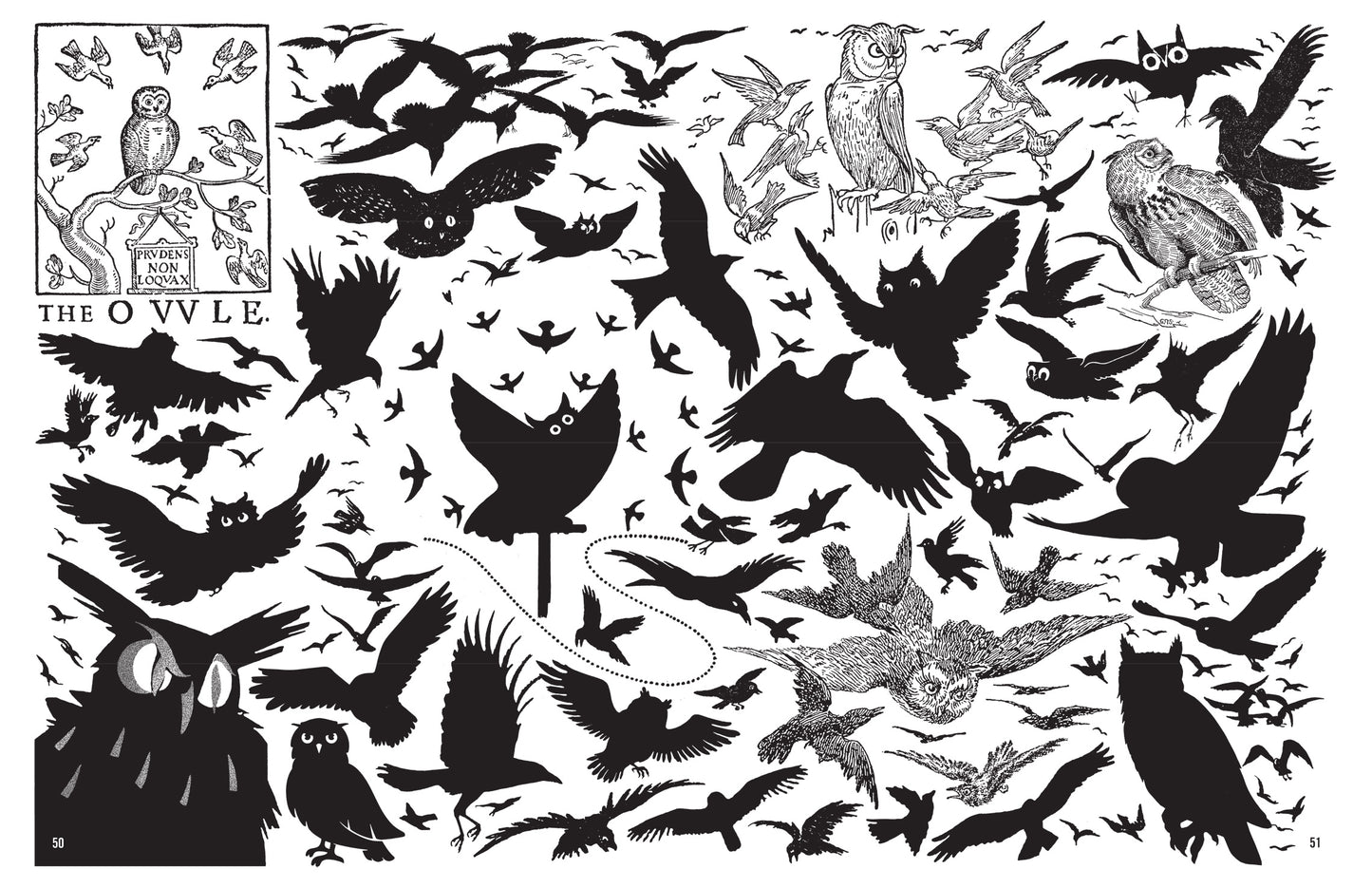 Crap Hound - Owls and Crows
