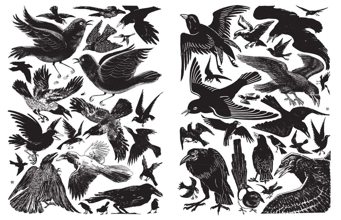 Crap Hound - Owls and Crows