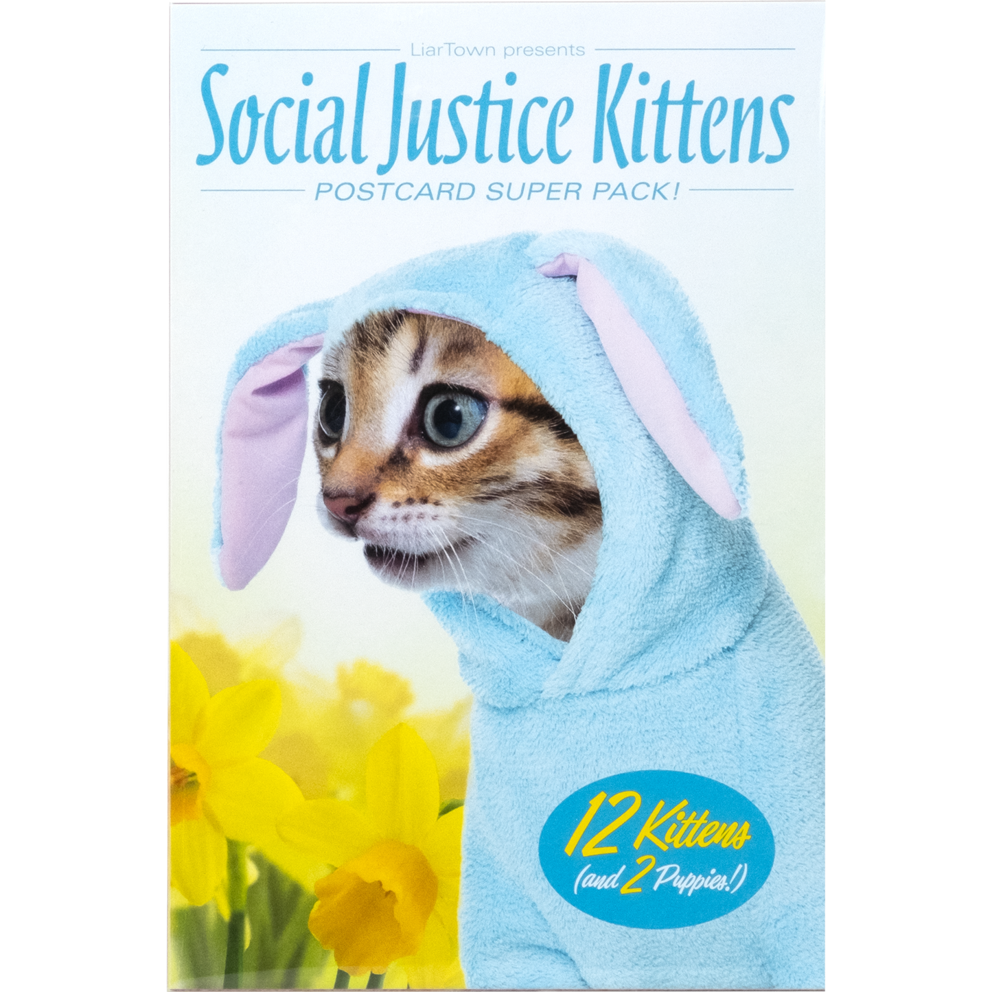 Social Justice Kittens Postcards Super Pack