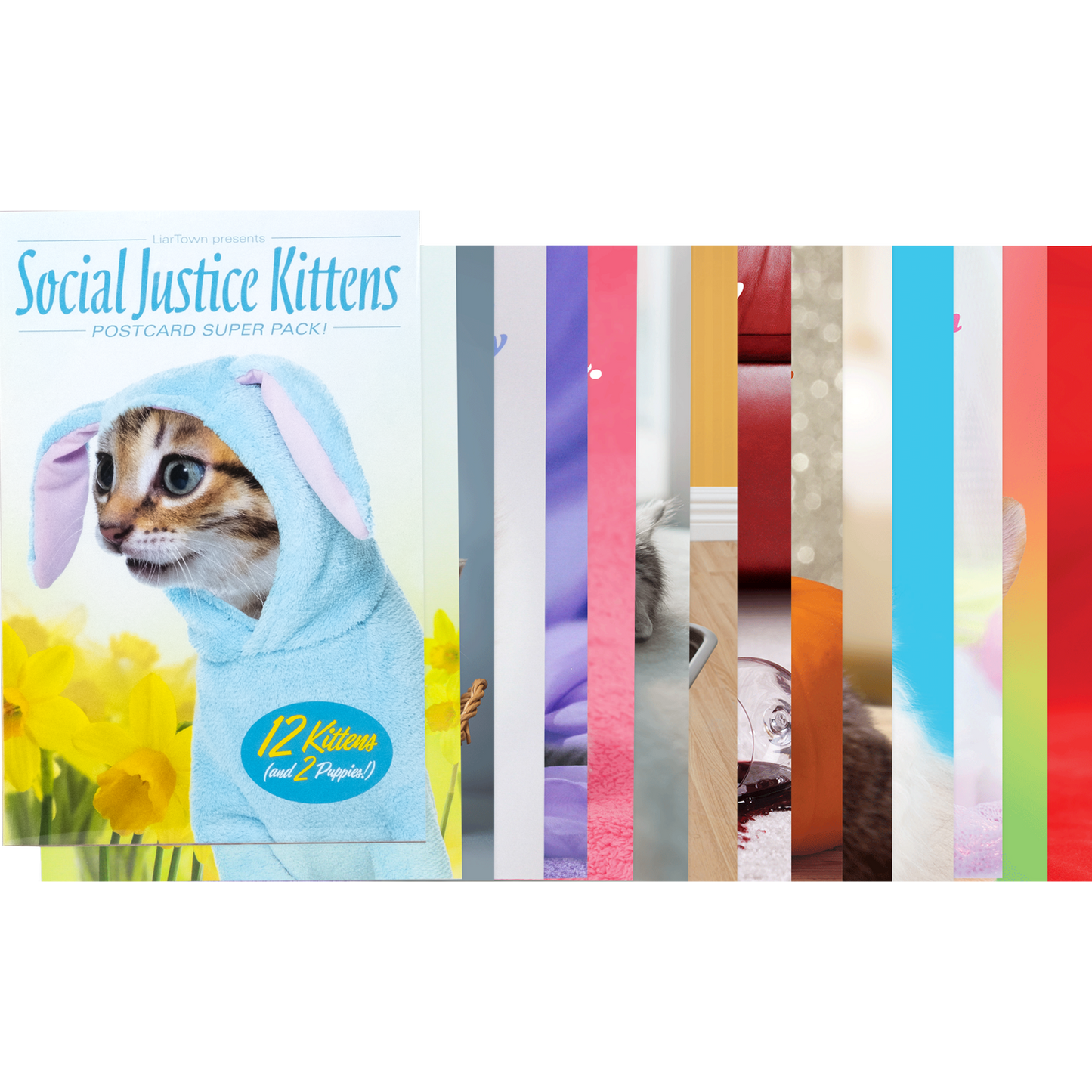 Social Justice Kittens Postcards Super Pack