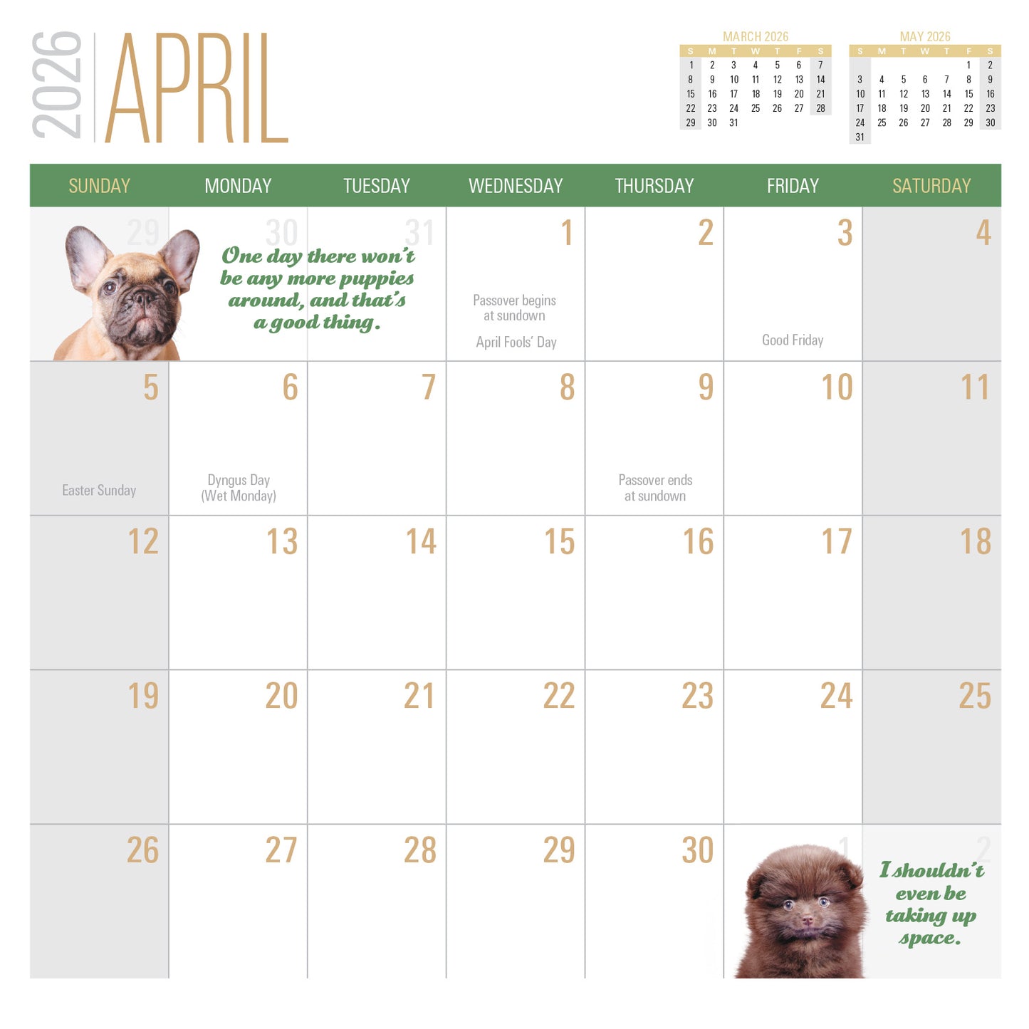 2026 Social Justice Kittens Calendar