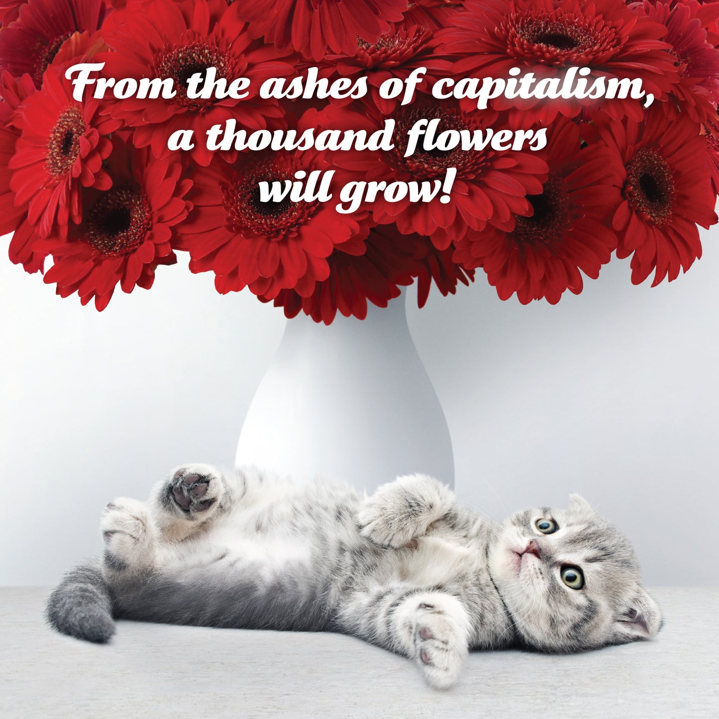 2026 Social Justice Kittens Calendar