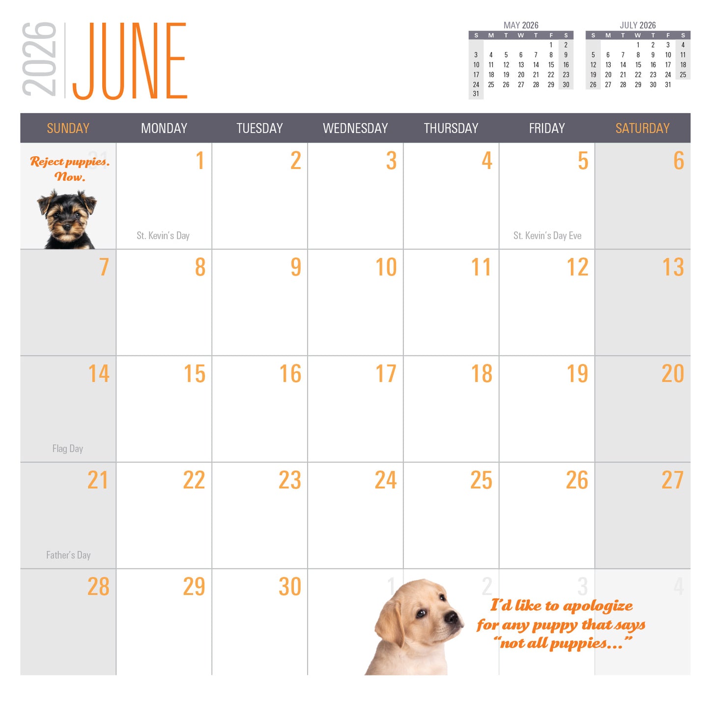 2026 Social Justice Kittens Calendar