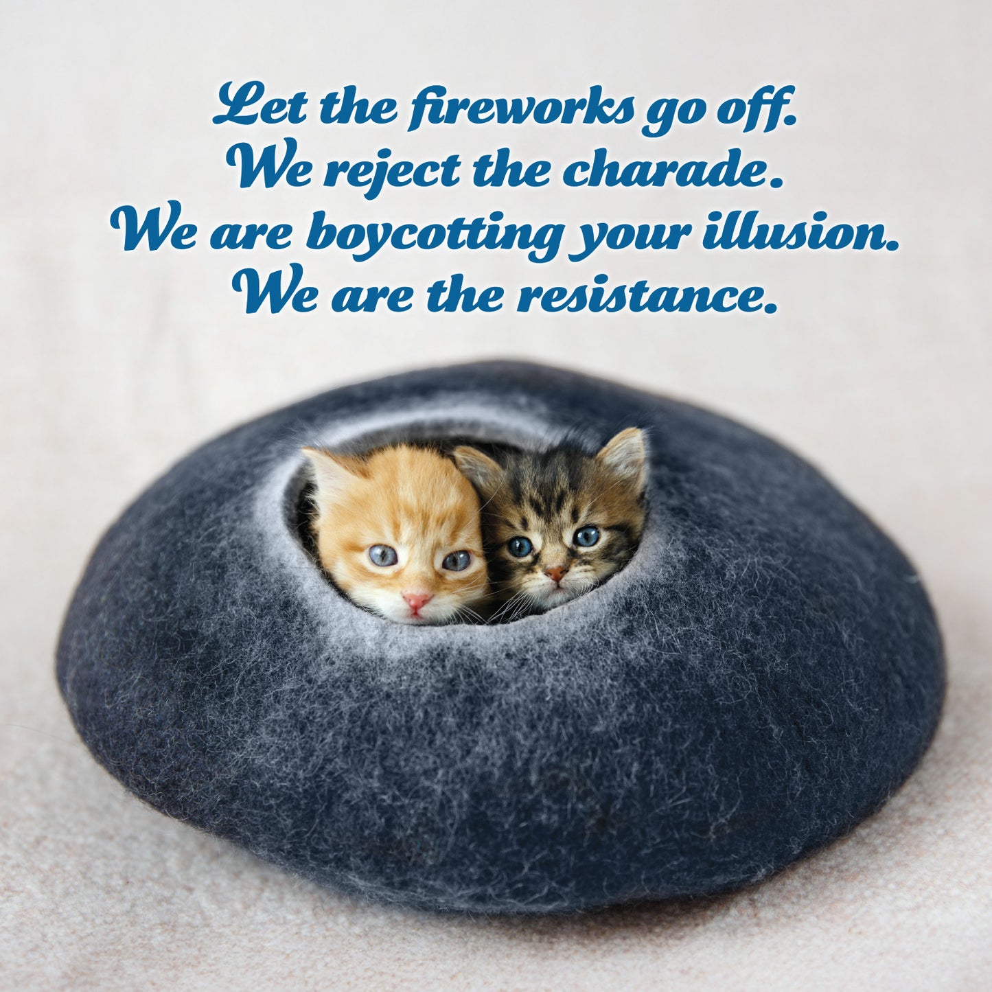 2026 Social Justice Kittens Calendar