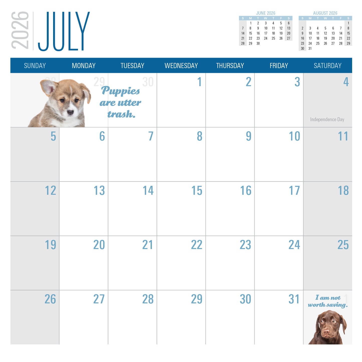 2026 Social Justice Kittens Calendar