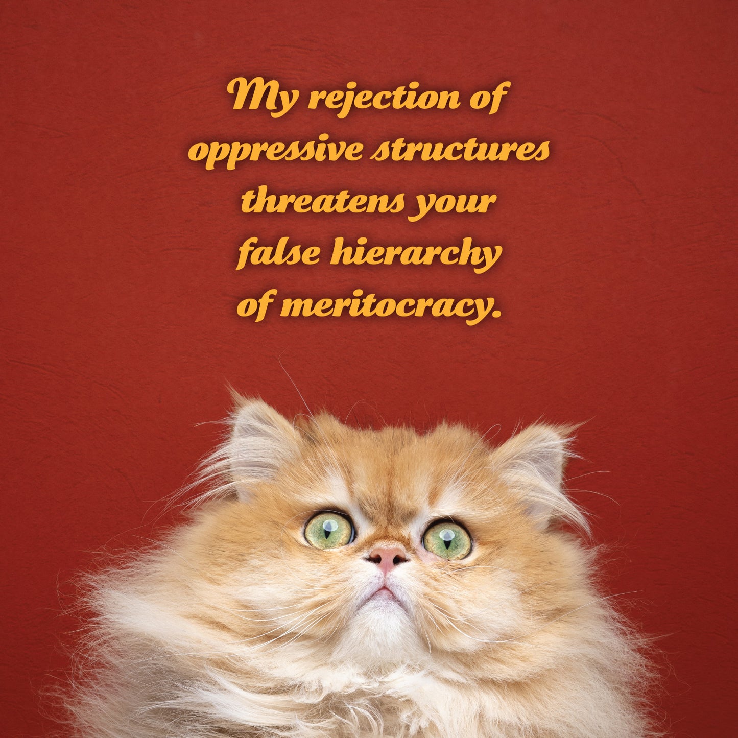 2026 Social Justice Kittens Calendar