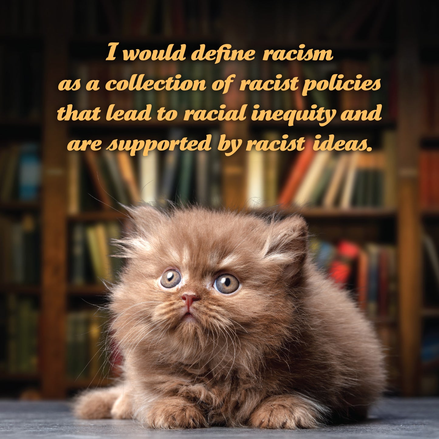 2026 Social Justice Kittens Calendar