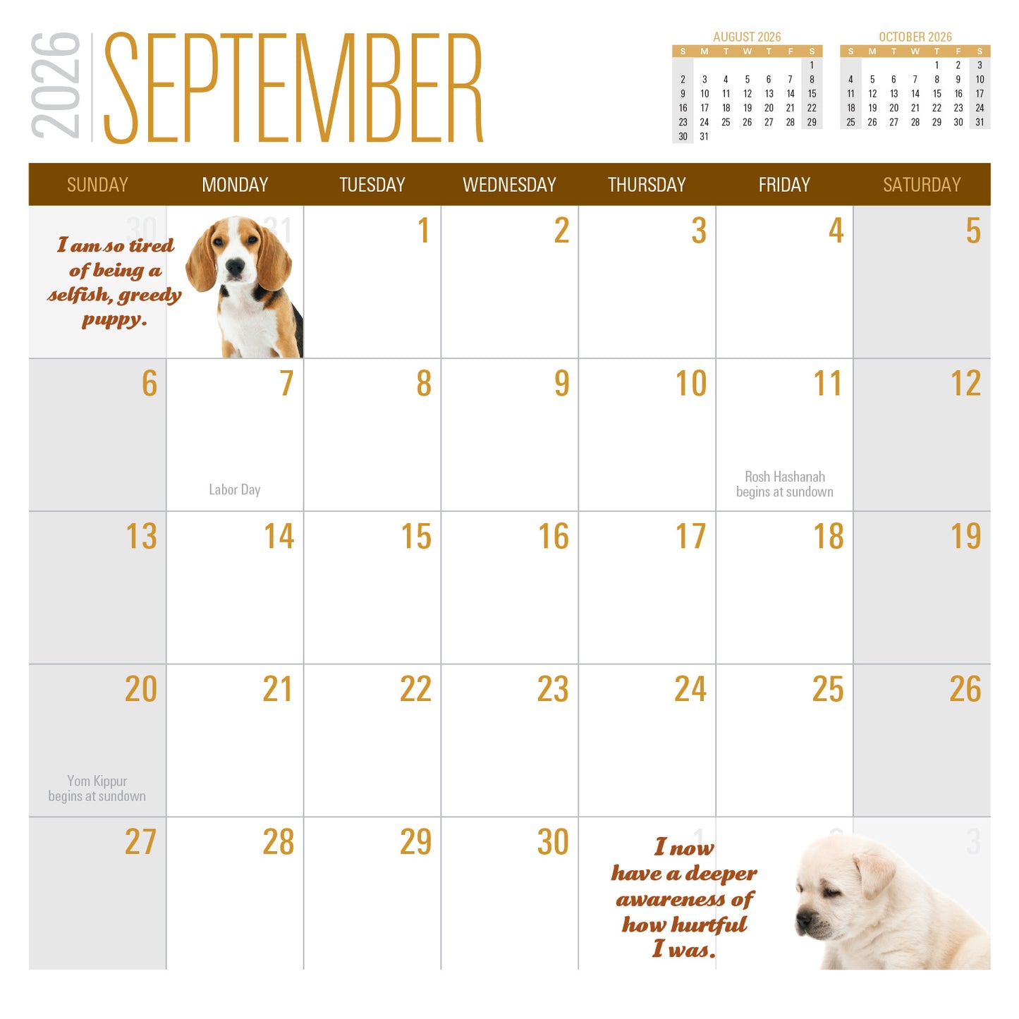 2026 Social Justice Kittens Calendar