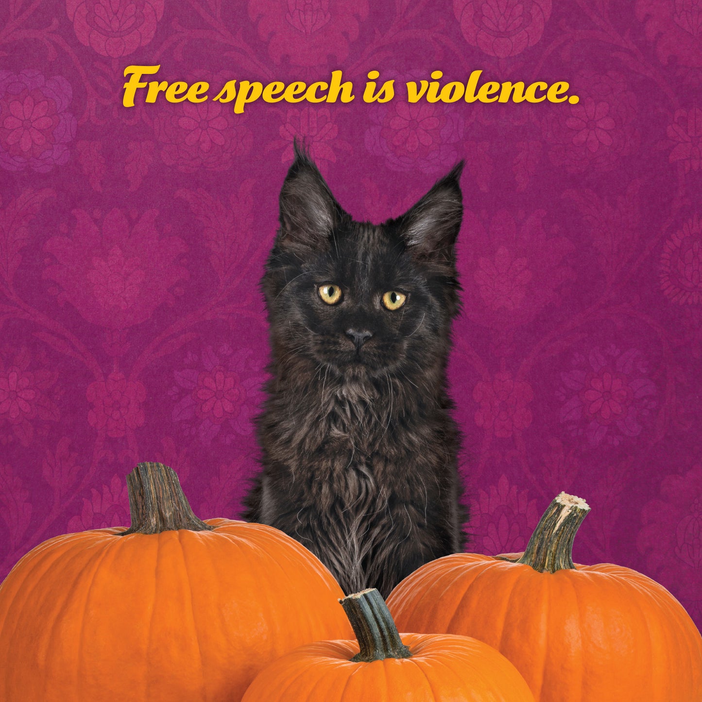 2026 Social Justice Kittens Calendar
