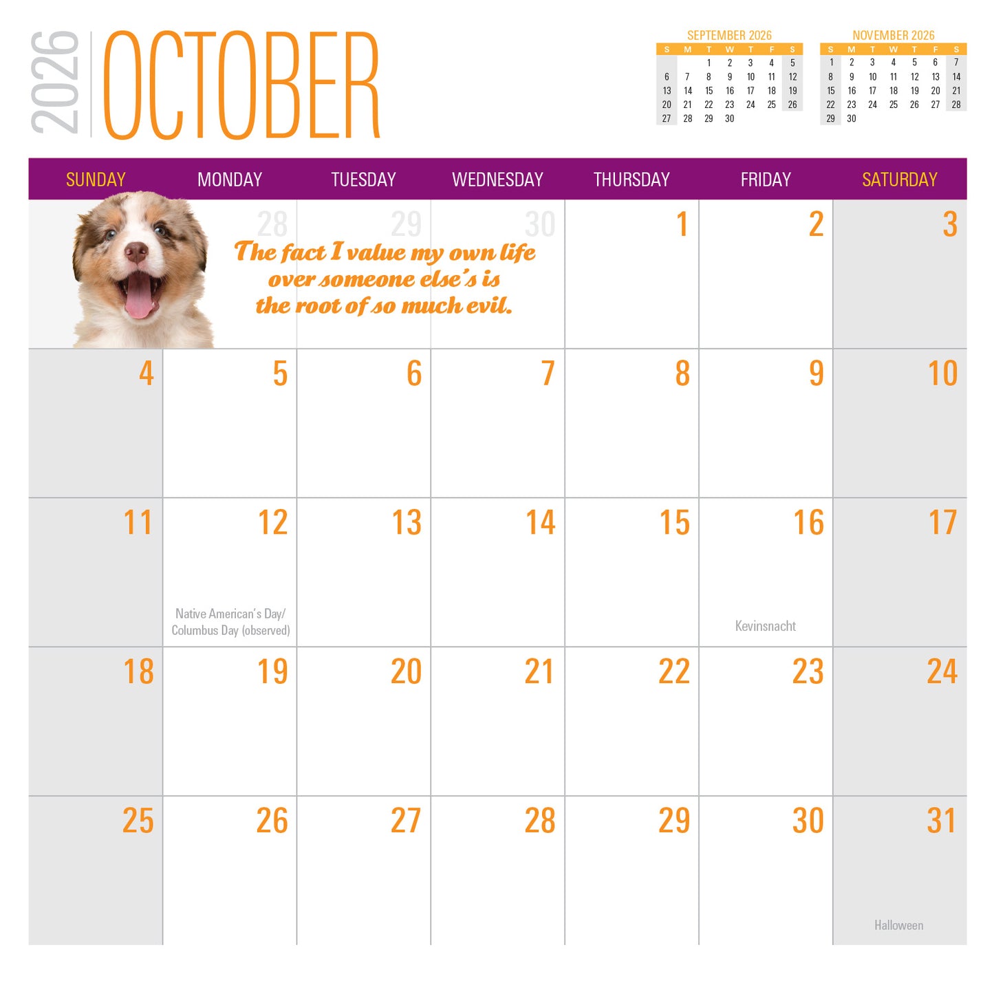 2026 Social Justice Kittens Calendar