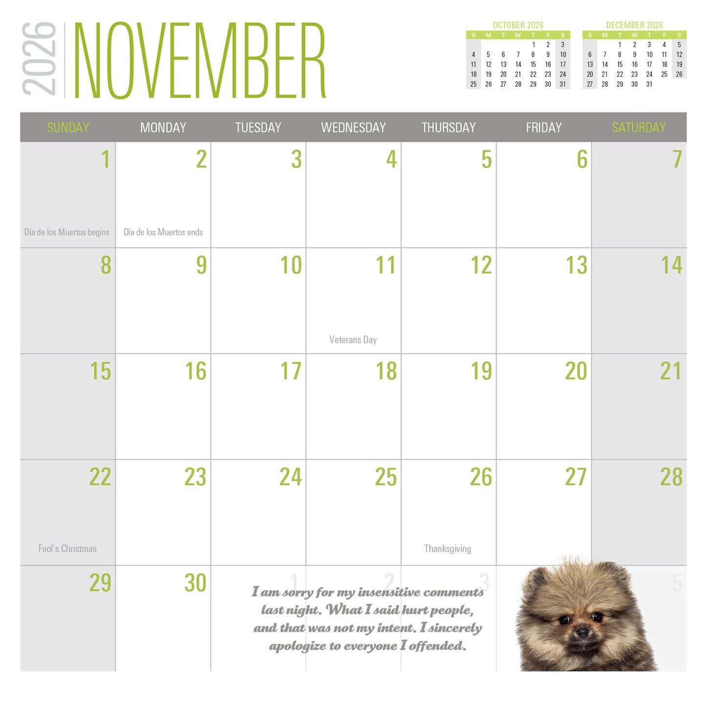 2026 Social Justice Kittens Calendar