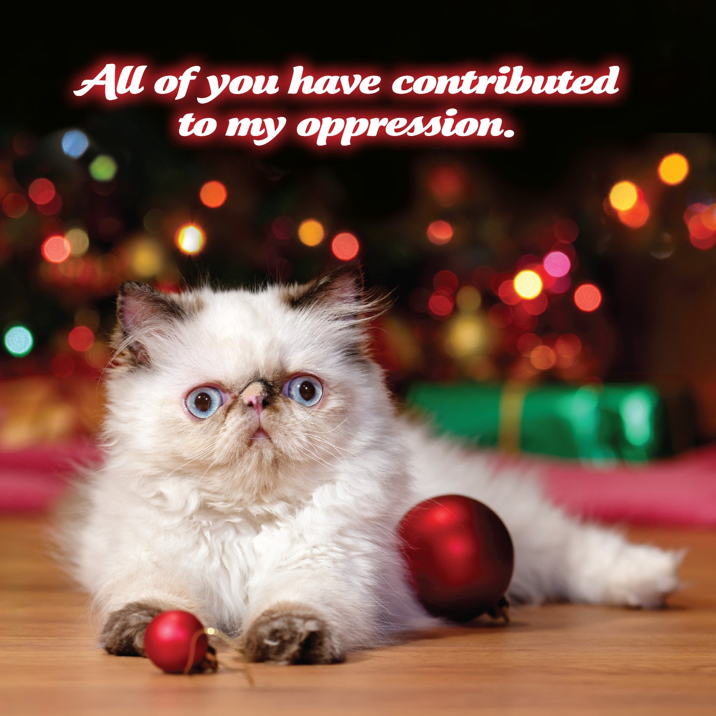 2026 Social Justice Kittens Calendar