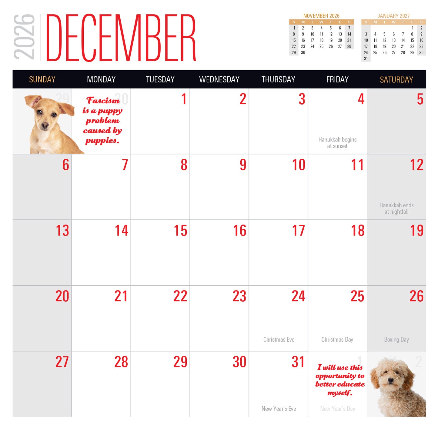 2026 Social Justice Kittens Calendar