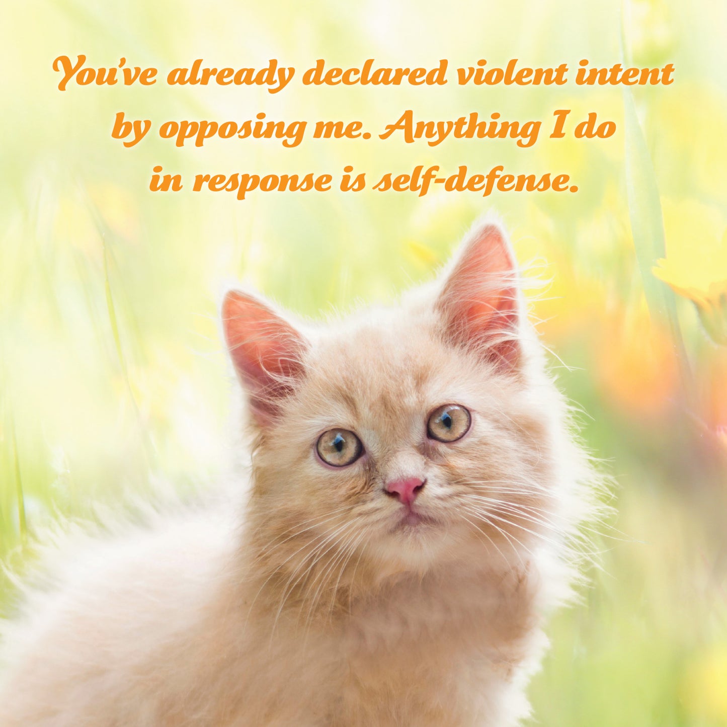 2026 Social Justice Kittens Calendar