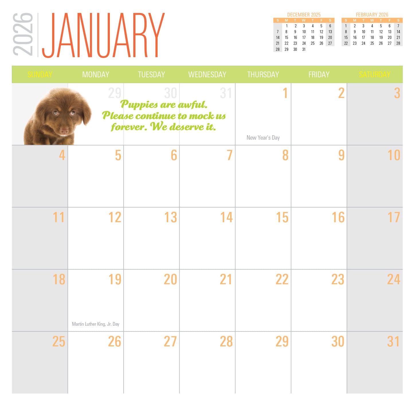 2026 Social Justice Kittens Calendar
