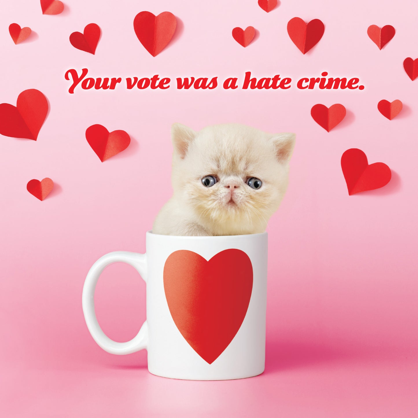 2026 Social Justice Kittens Calendar