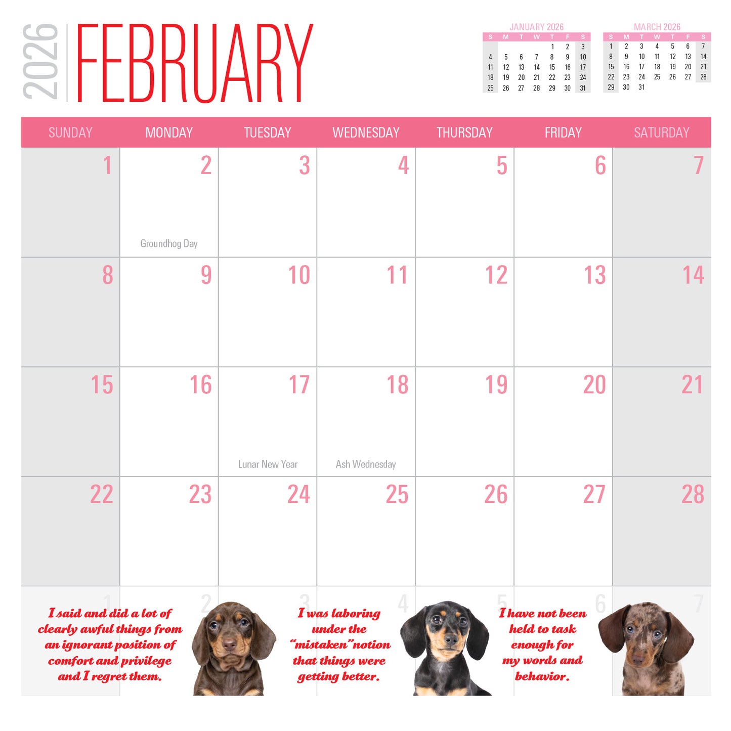 2026 Social Justice Kittens Calendar