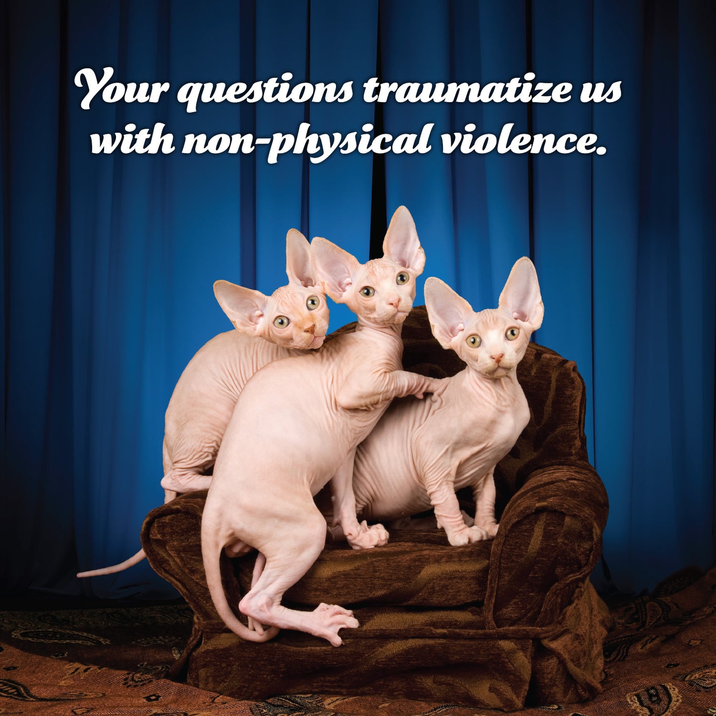2026 Social Justice Kittens Calendar