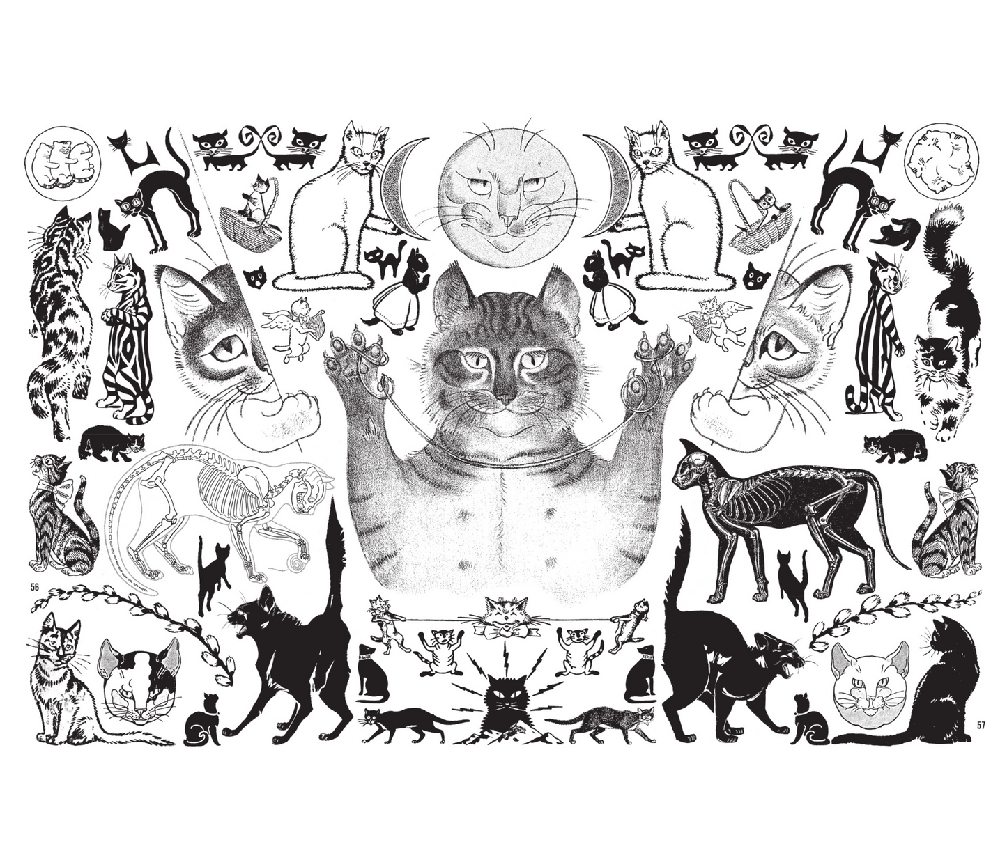 Crap Hound - Cats