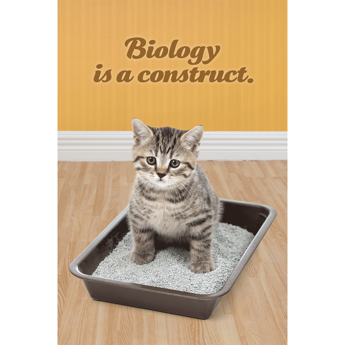 Social Justice Kittens Postcards Super Pack