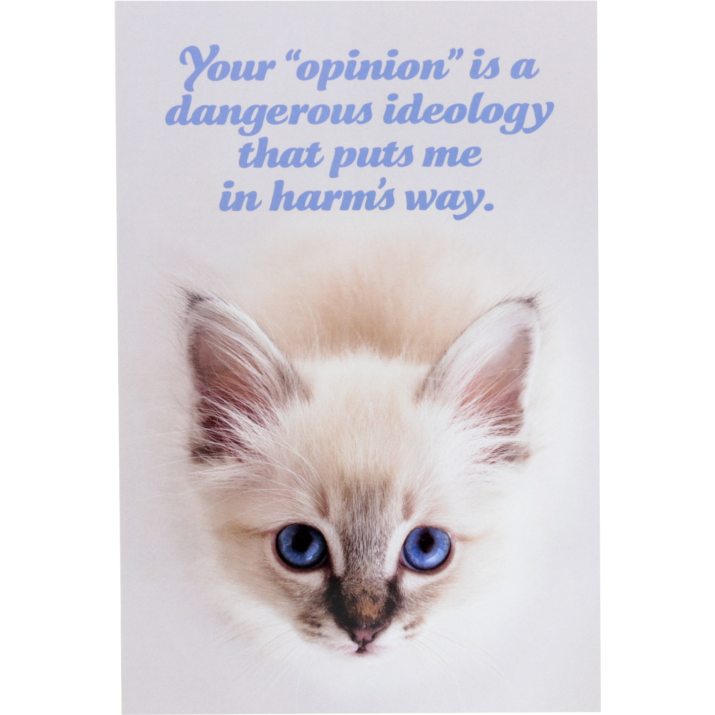 Social Justice Kittens Postcards Super Pack