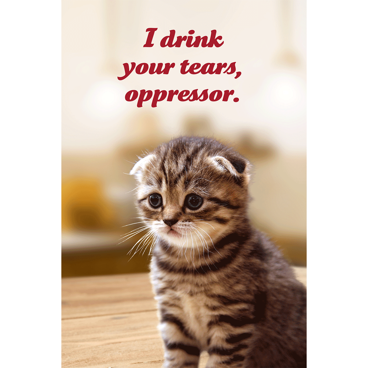 Social Justice Kittens Postcards Super Pack