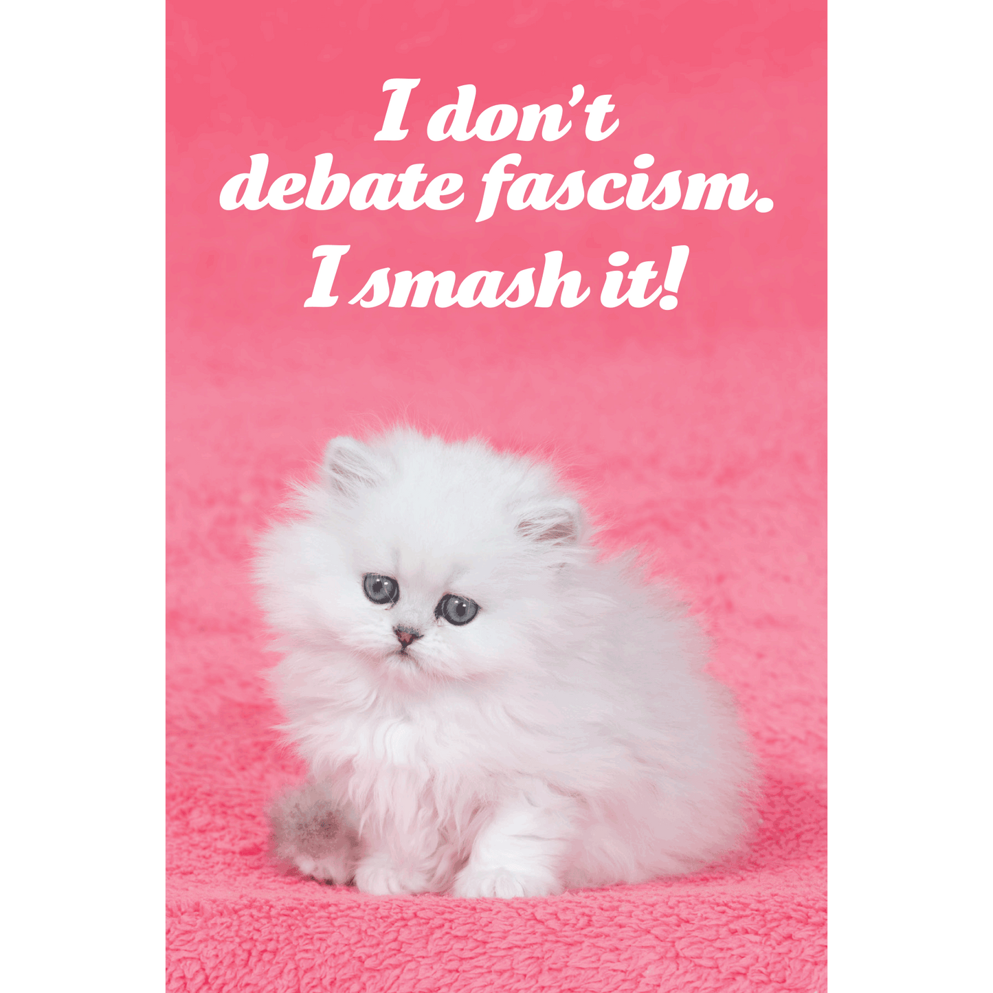 Social Justice Kittens Postcards Super Pack