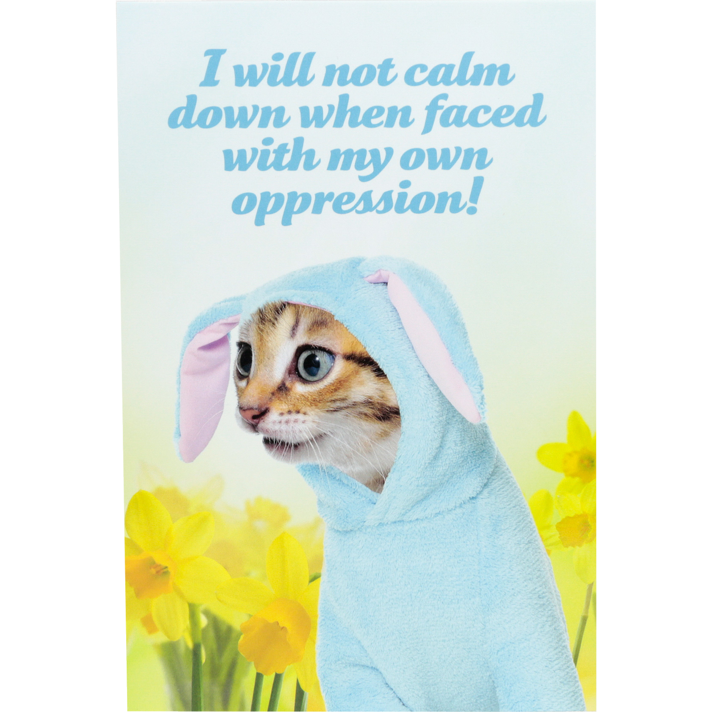 Social Justice Kittens Postcards Super Pack