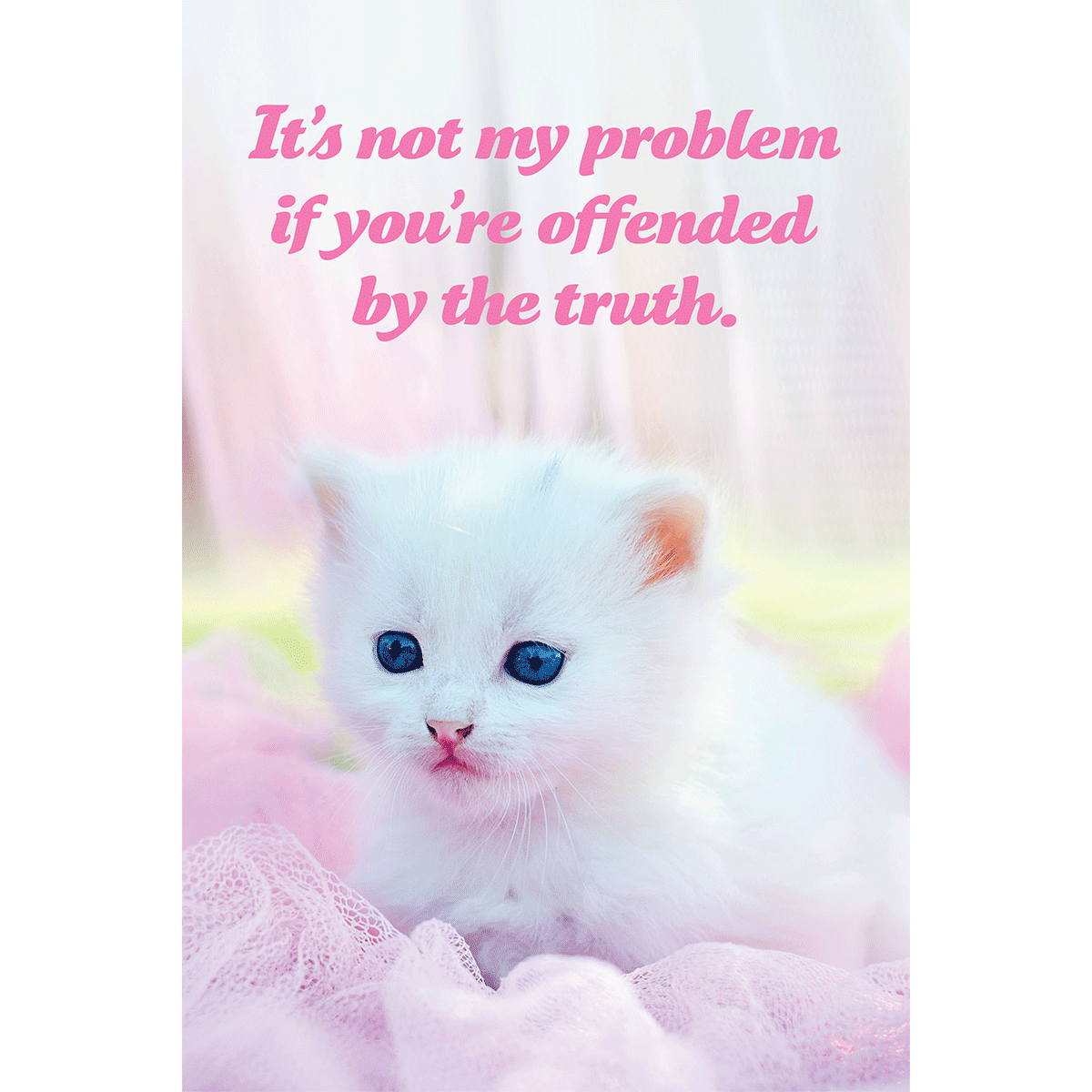Social Justice Kittens Postcards Super Pack
