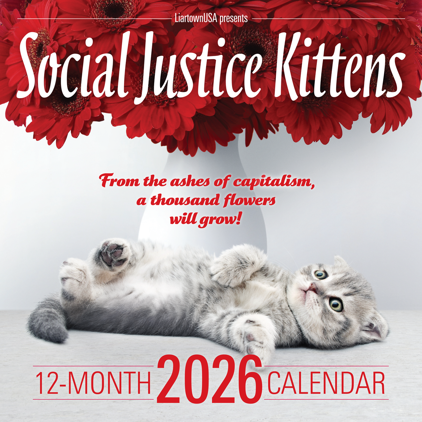 2026 Social Justice Kittens Calendar