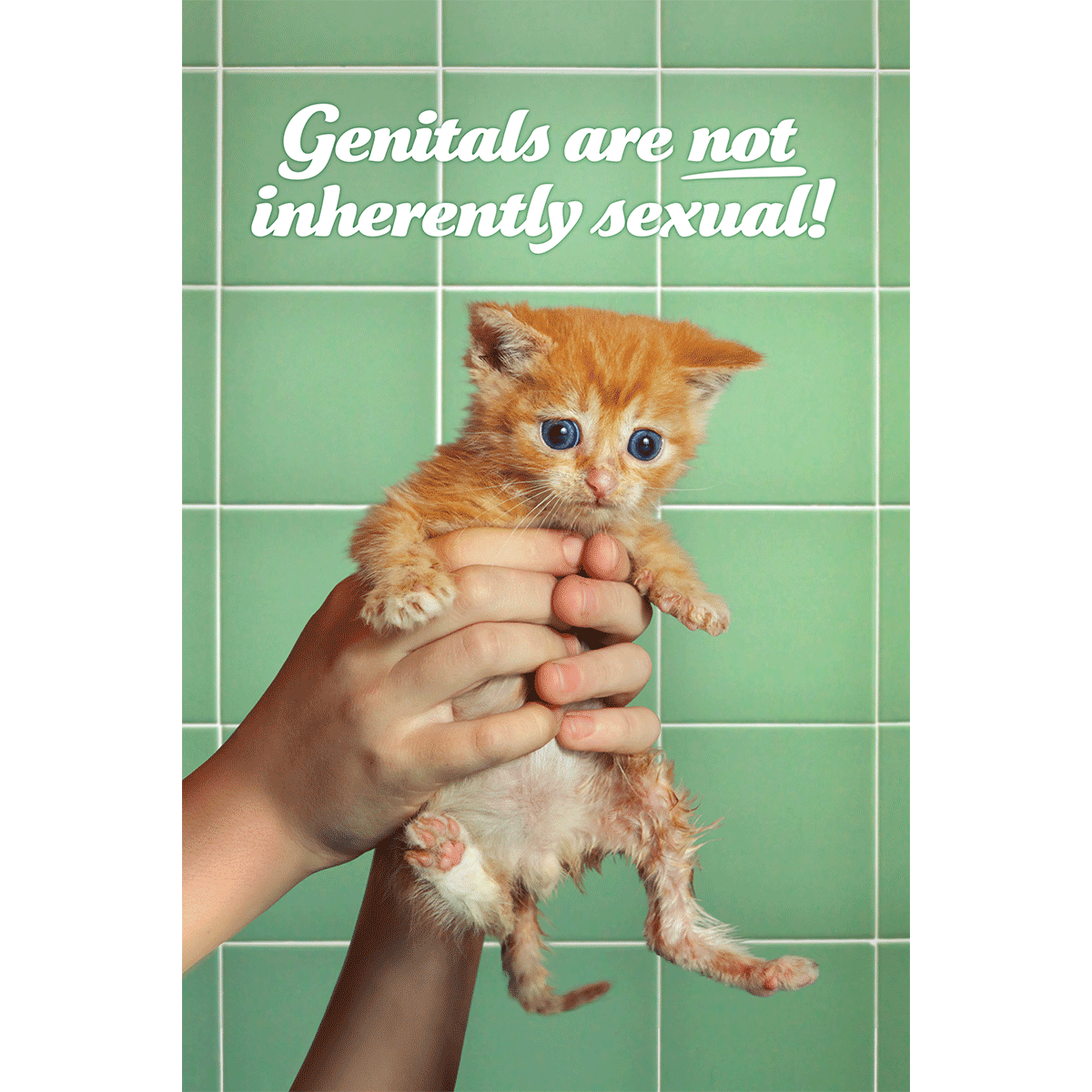 Genitals