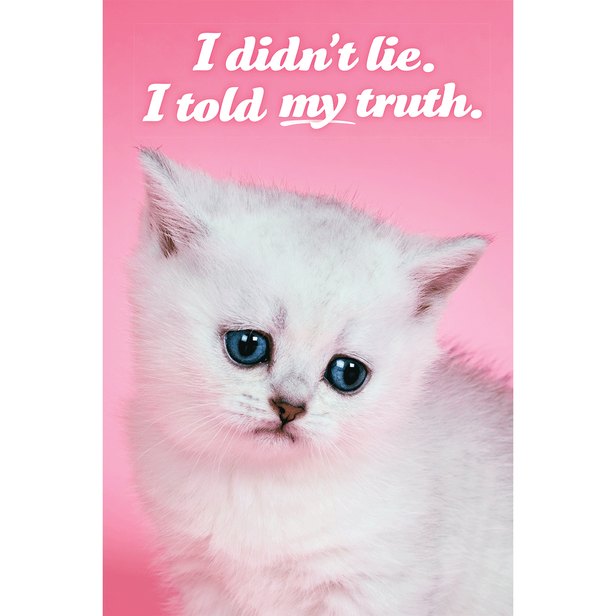 I Didn't Lie. I Told My Truth.