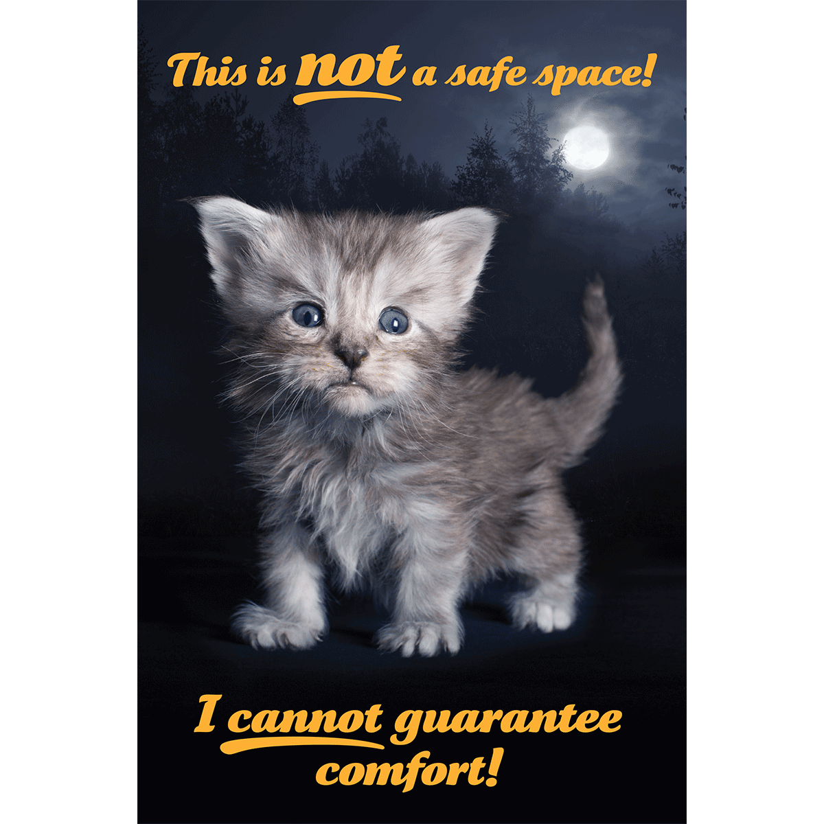 Not a Safe Space