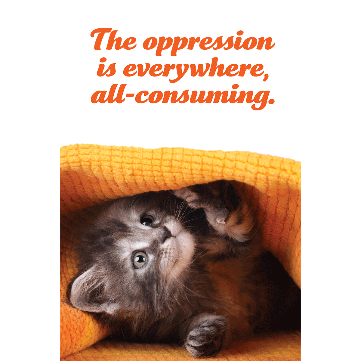 Oppression is Everywhere