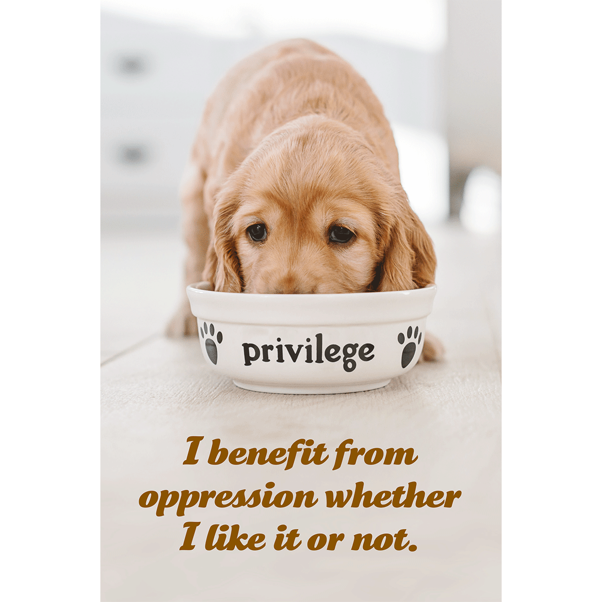 I Benefit From Oppression