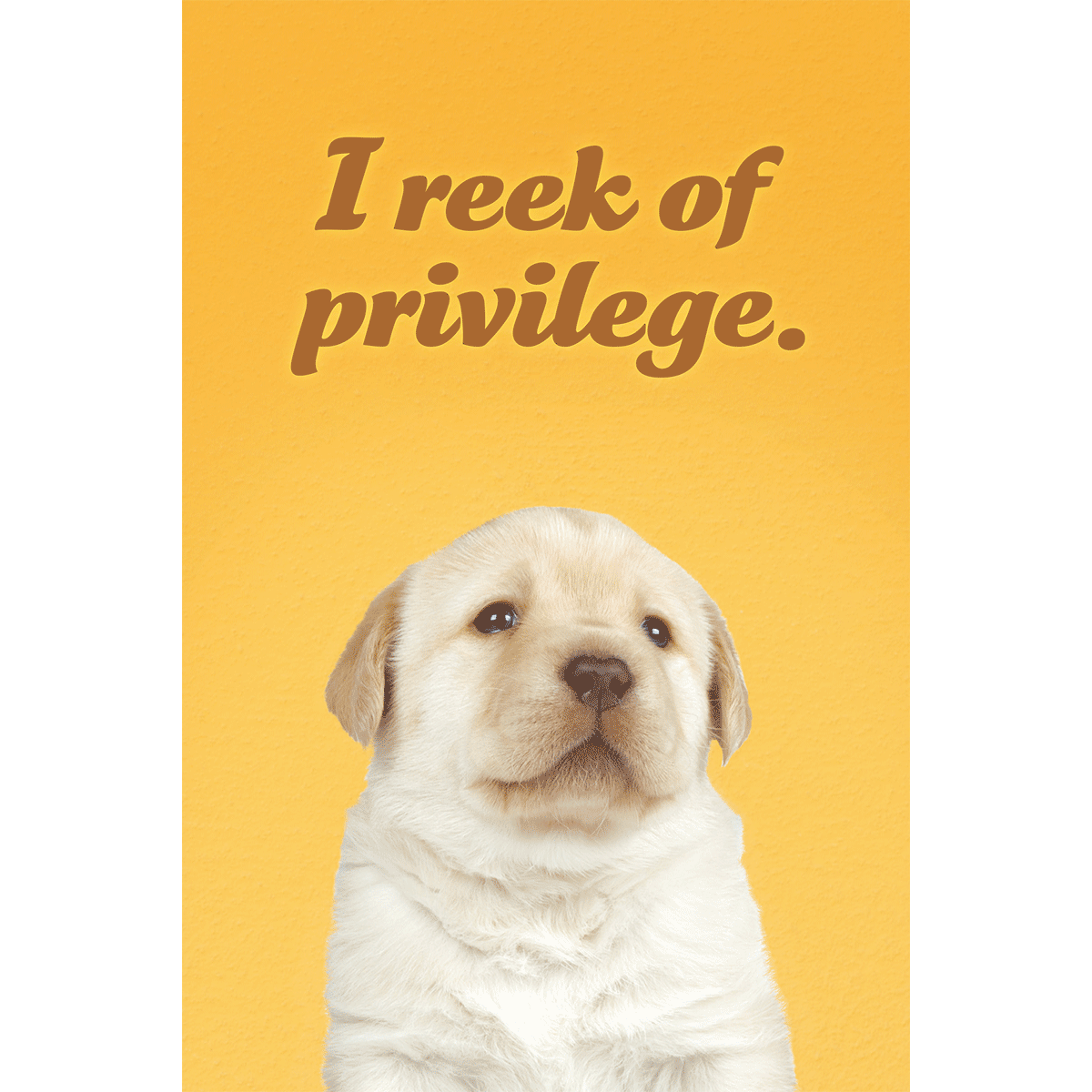 I Reek of Privilege