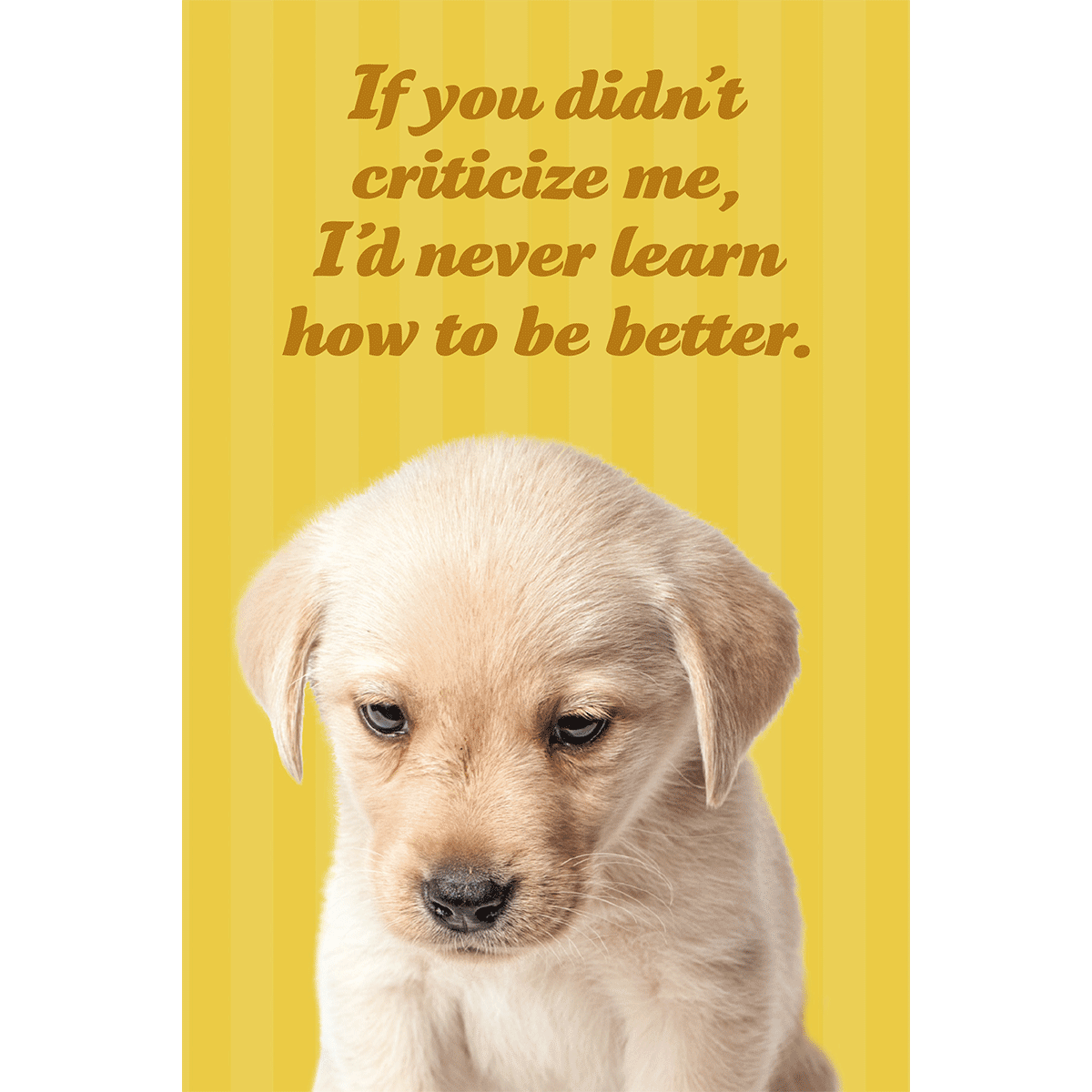 I'd Never Learn
