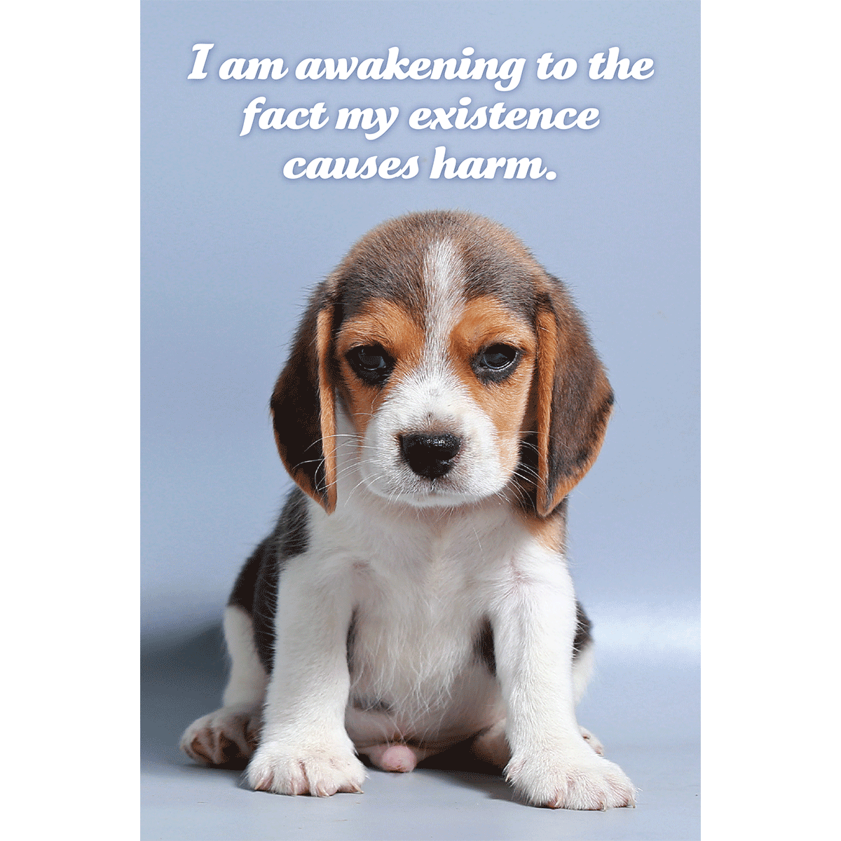 My Existence Causes Harm
