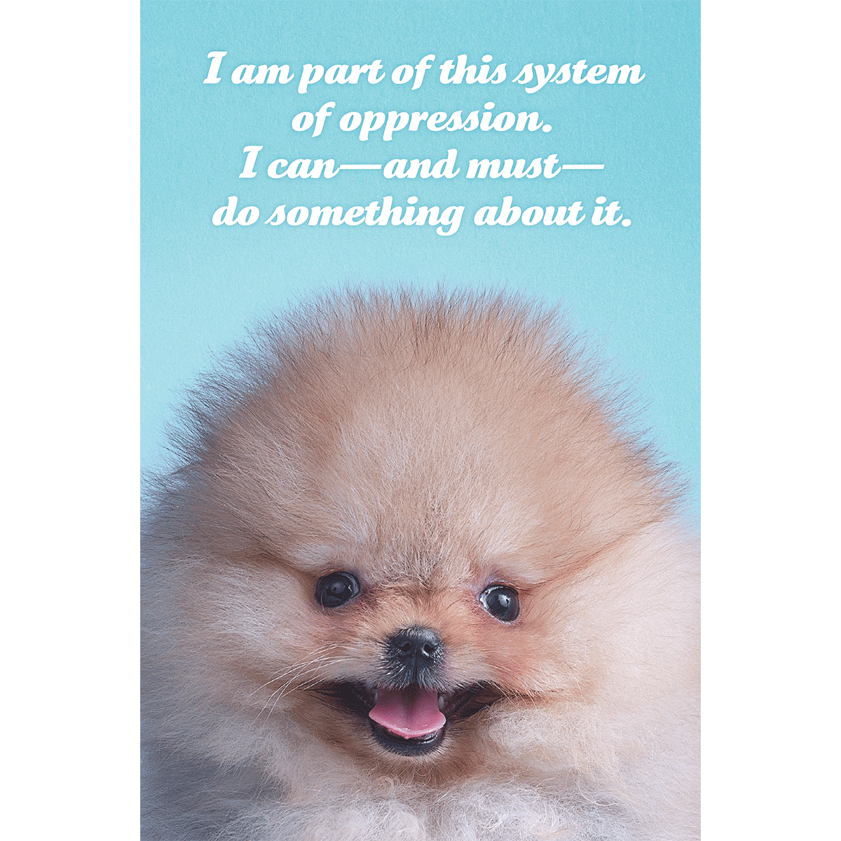 System of Oppression