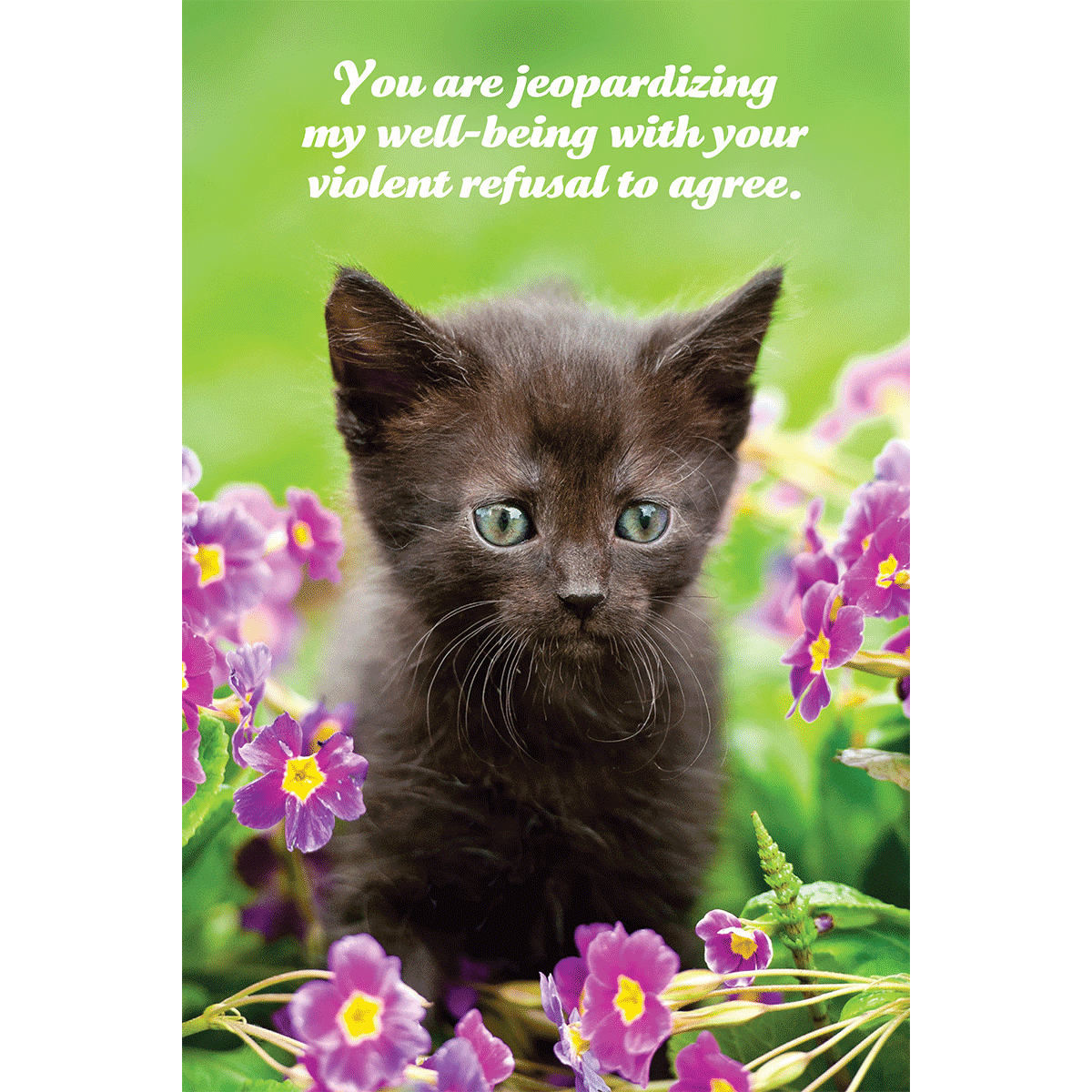 Violent Refusal to Agree