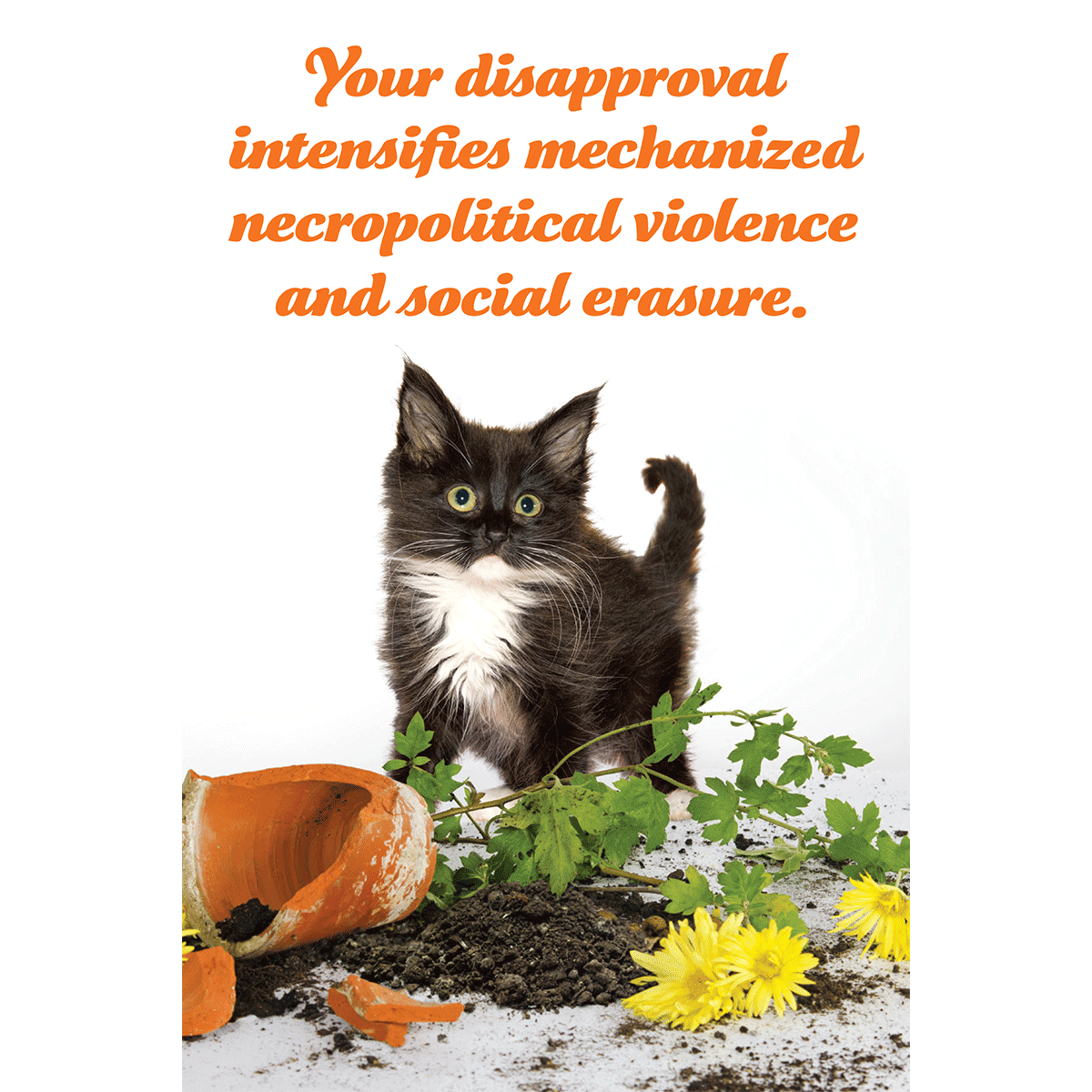 Disapproval Cat disapproval-cat