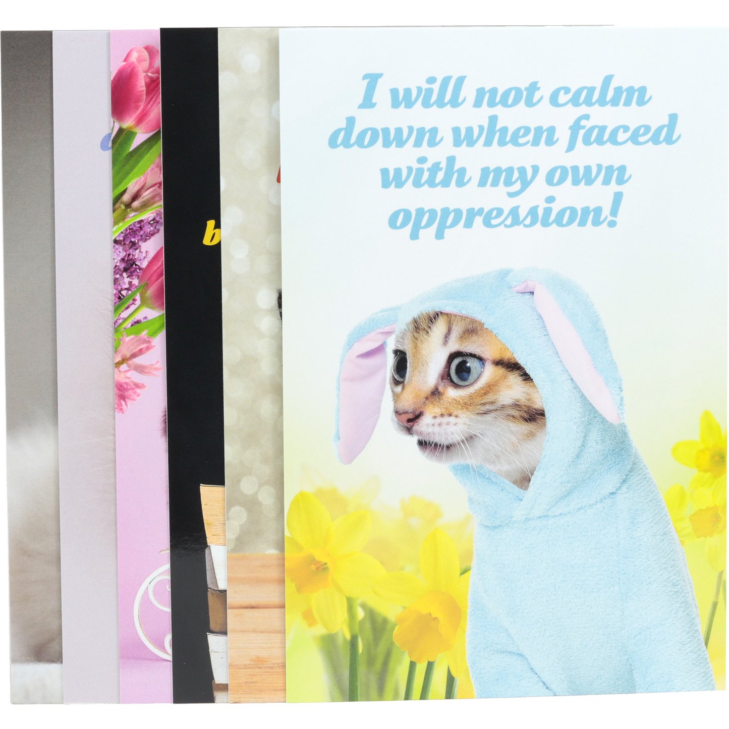 Social Justice Kittens Vol. III