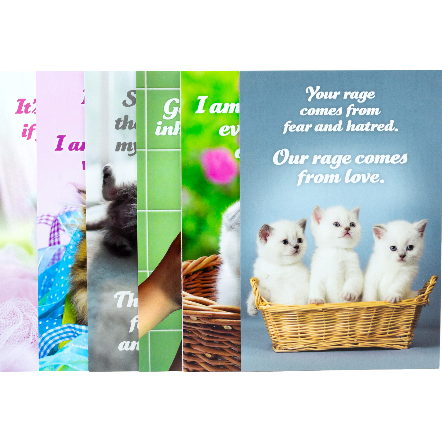 Social Justice Kittens Vol. IV