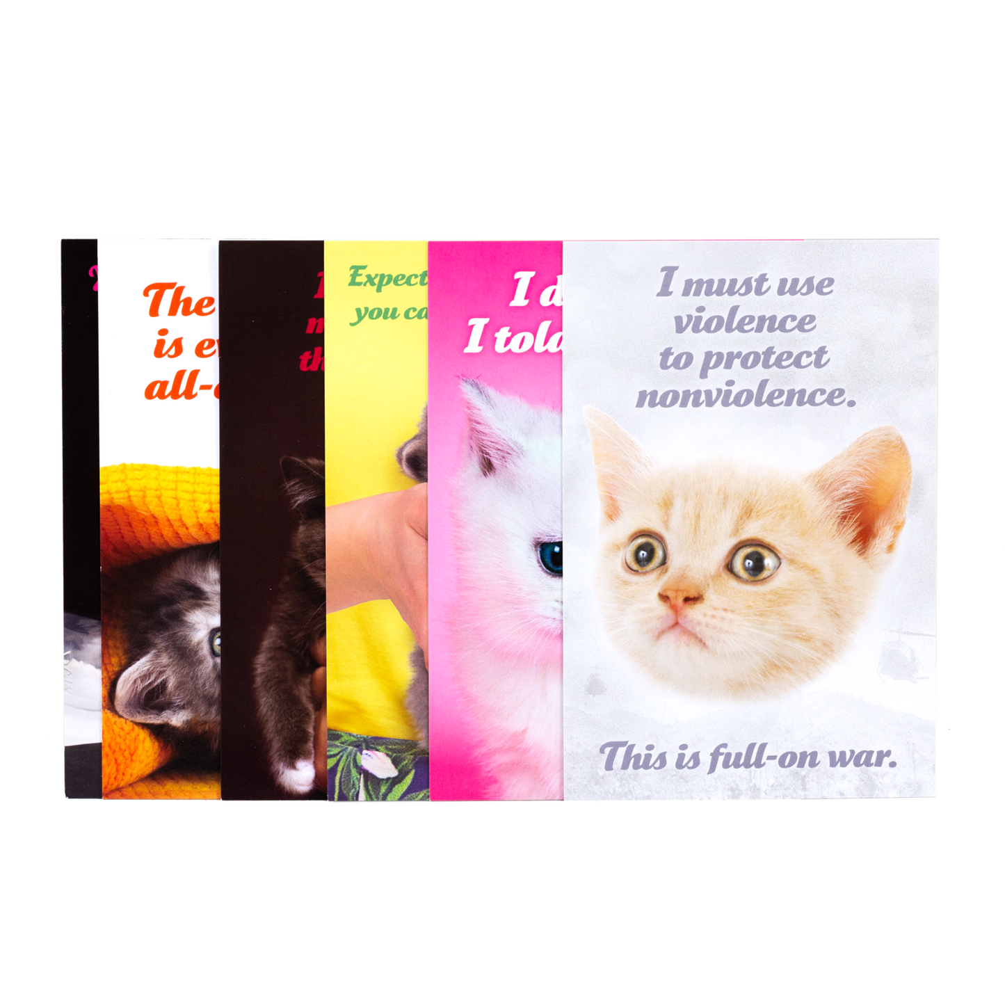 Social Justice Kittens Vol. VII