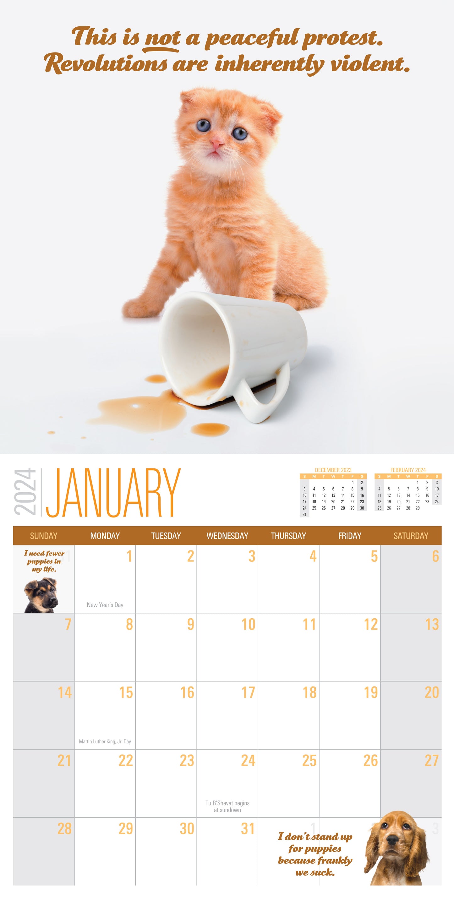 2024 Social Justice Kittens Calendar – LiartownUSA 2024-social-justice-kittens-calendar-liartownusa