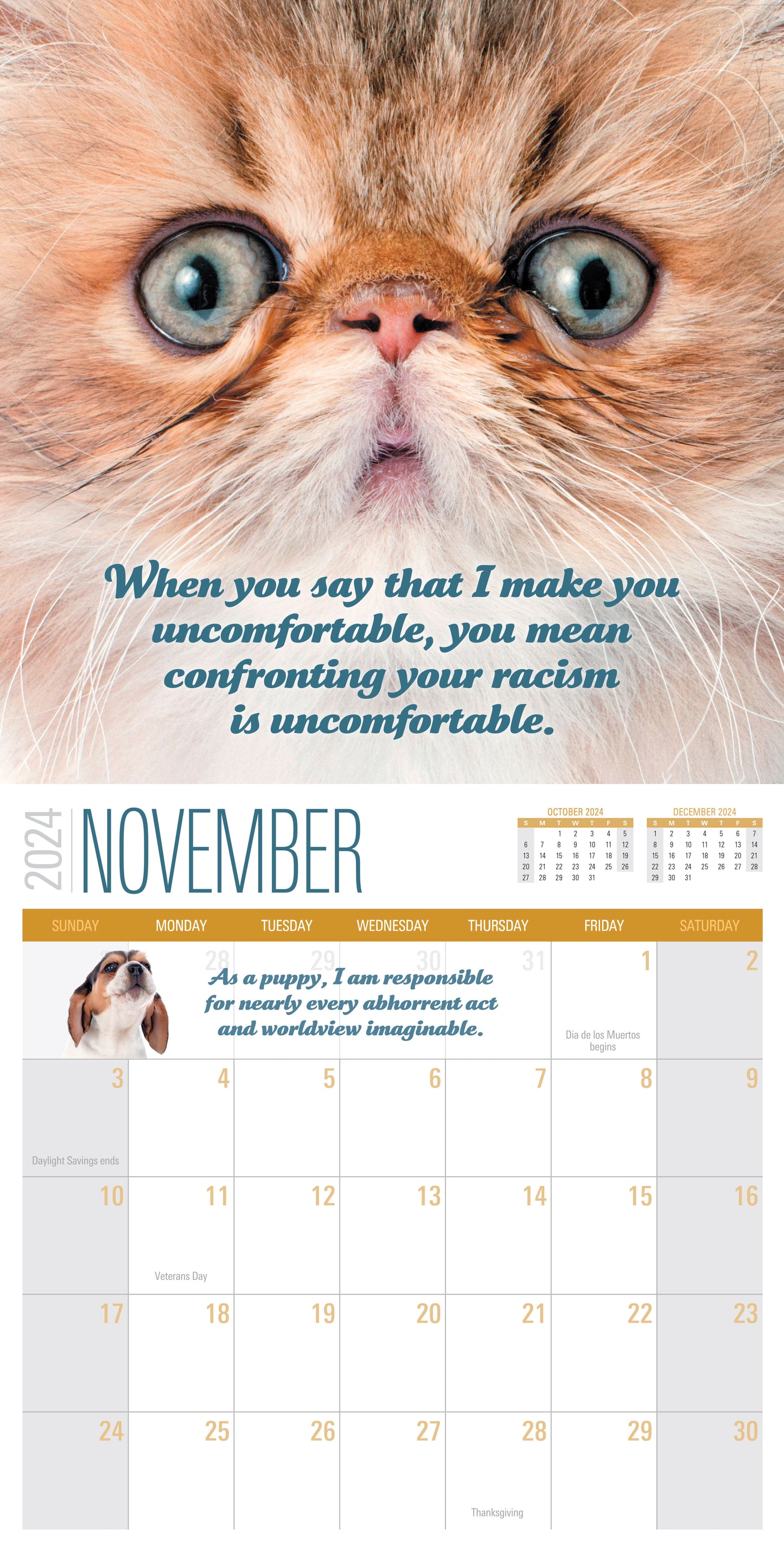 2024 Social Justice Kittens Calendar