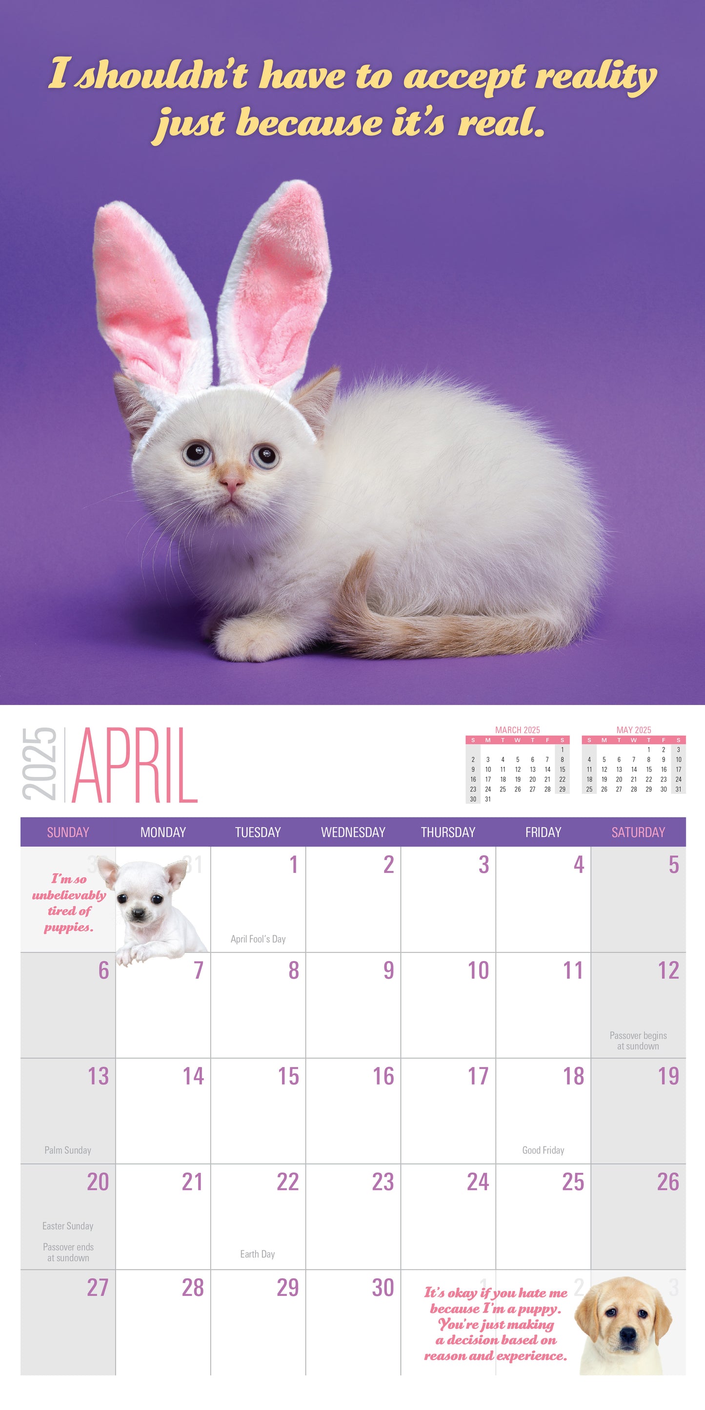 2025 Social Justice Kittens Calendar