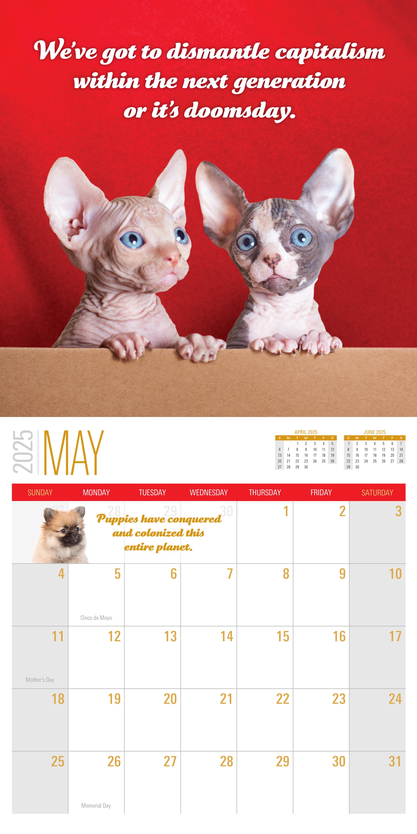 2025 Social Justice Kittens Calendar