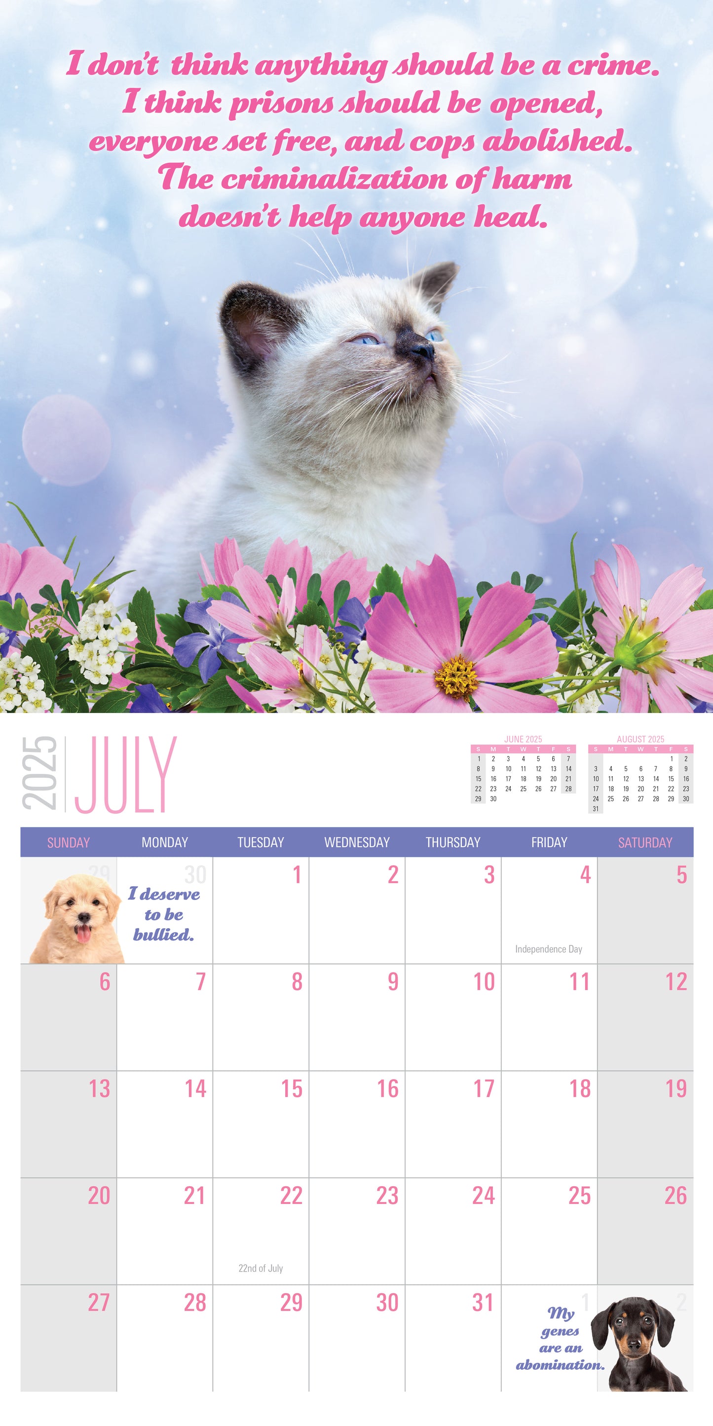 2025 Social Justice Kittens Calendar